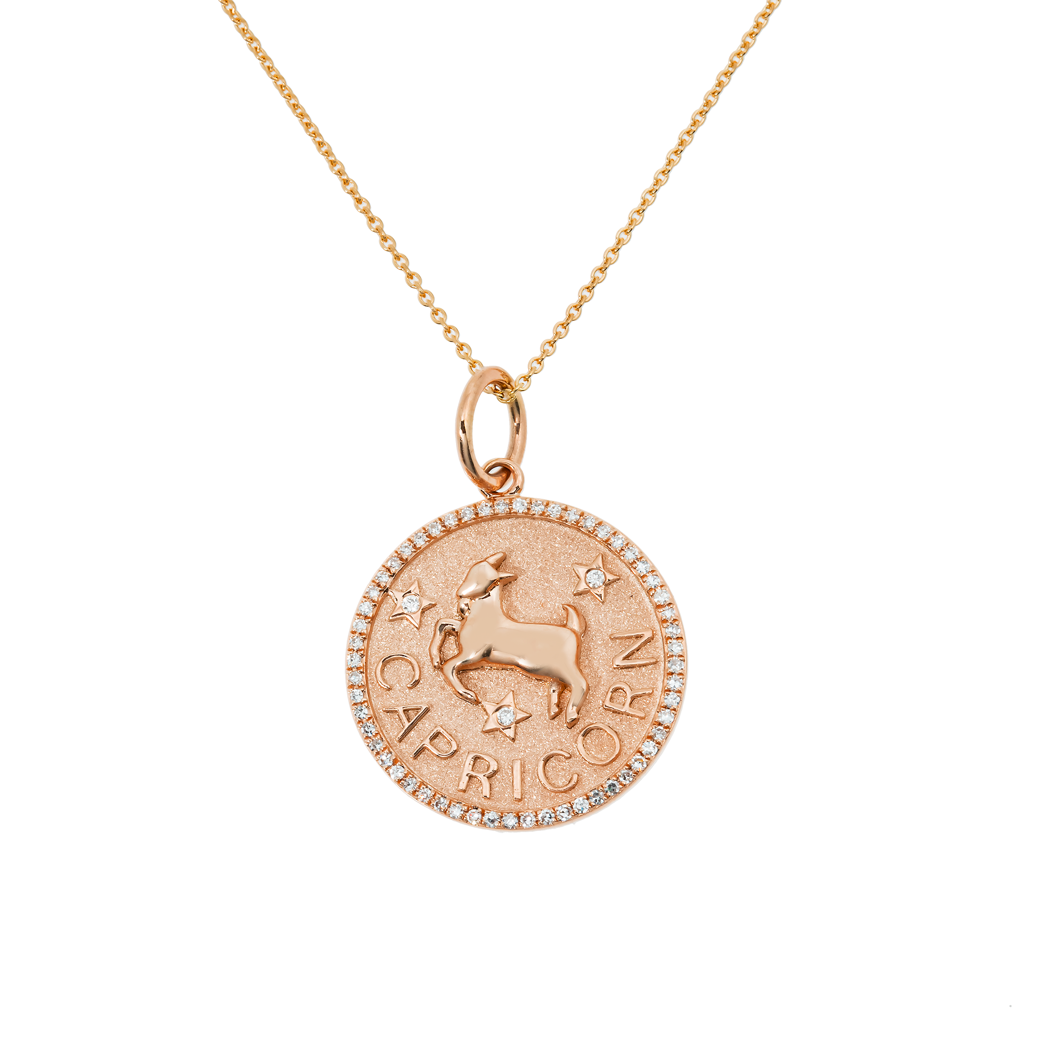 Capricorn Pendant view 3