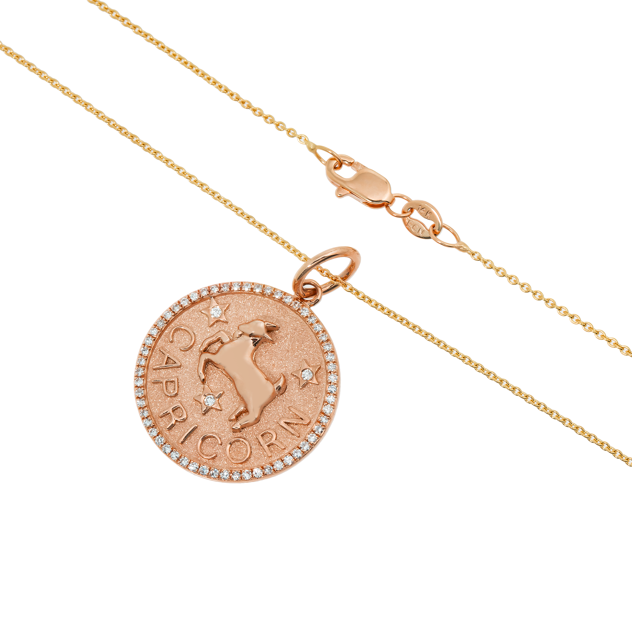 Capricorn Pendant view 4