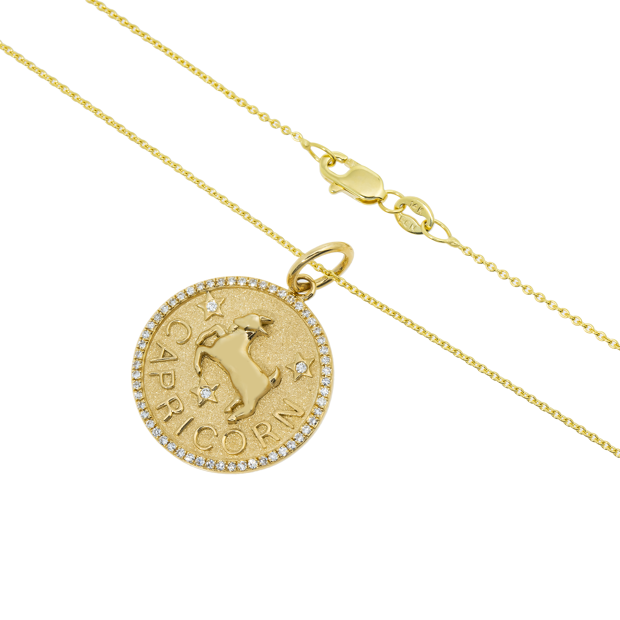 Capricorn Pendant view 2